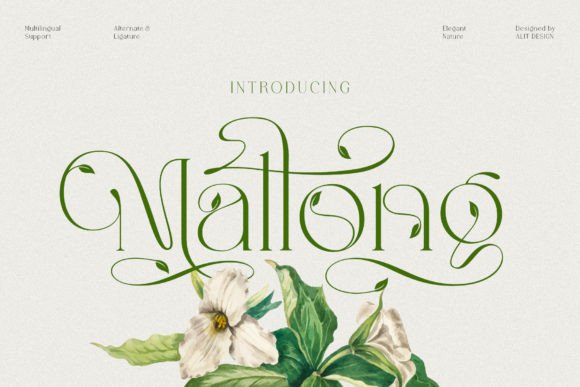 Mallong Font: Elevating Editorial Design with Natural Elegance