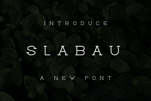 Slabau: A Unique Serif Font for Editorial Design and Digital Publishing